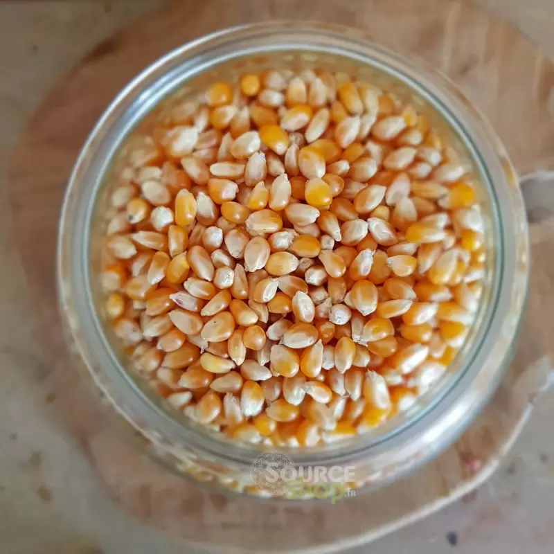 Maïs popcorn BIO en vrac