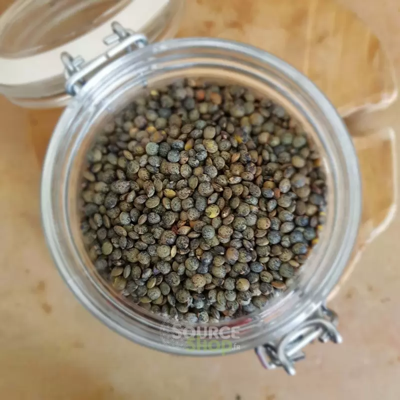 Lentilles vertes BIO en vrac