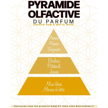 Parfum Musc blanc, Ananas & Rhum - 12ml - Song of India