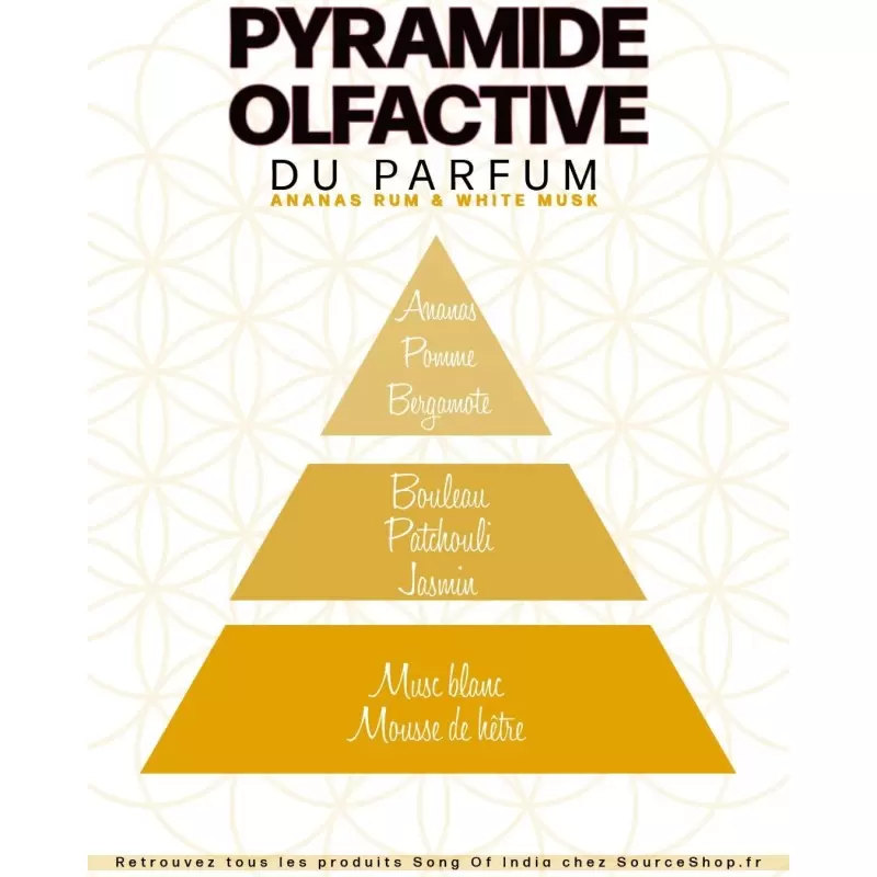 Parfum Musc blanc, Ananas & Rhum - 12ml - Song of India