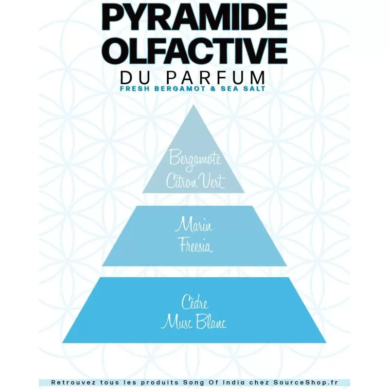 Parfum Sel de Mer & Bergamote - 12ml - Organic Goodness