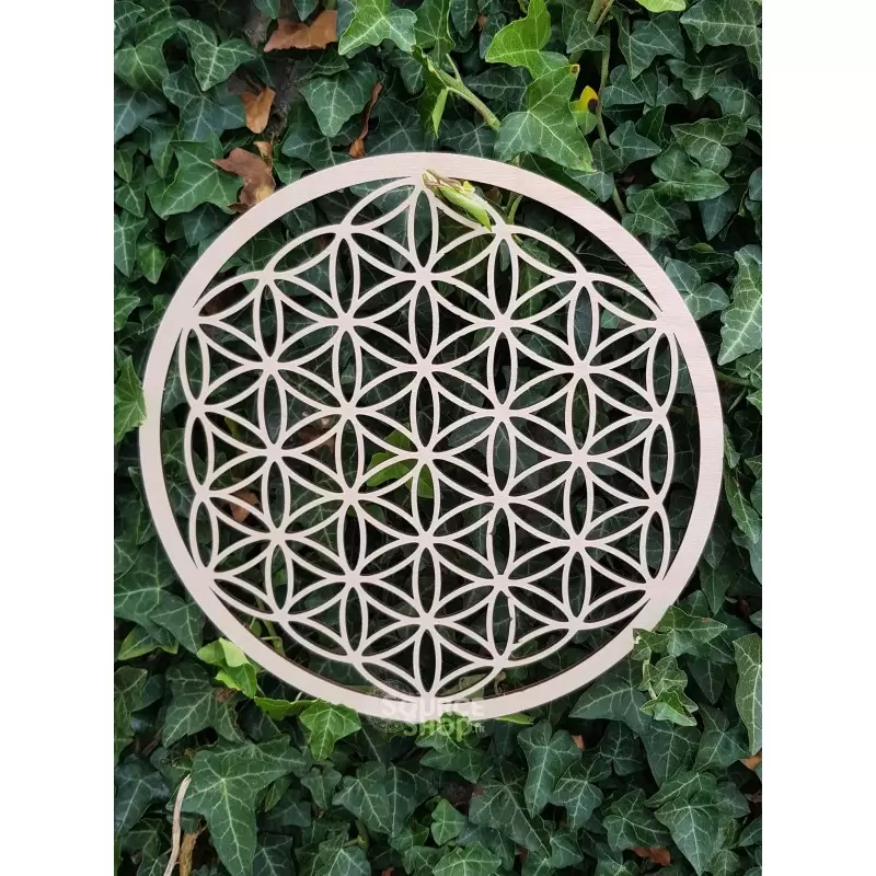 Fleur de vie en bois - 30cm - Plaque de rechargement