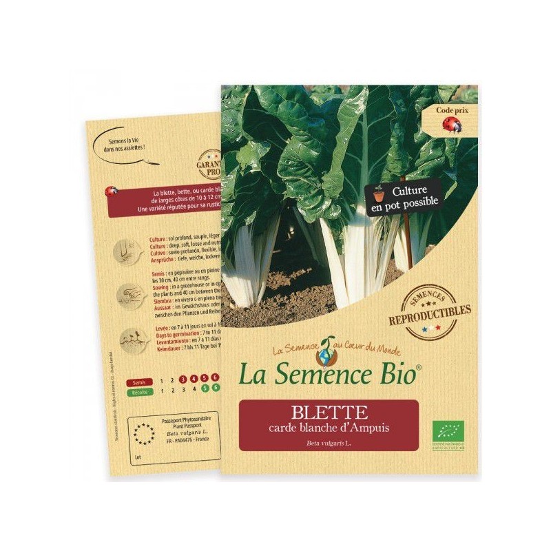Graines Blette carde blanche BIO - La Semence Bio
