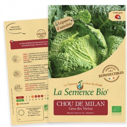 Graines Chou de Milan Gros des Vertus BIO - La Semence Bio