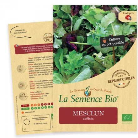 Graines Mesclun crétois BIO - La Semence Bio