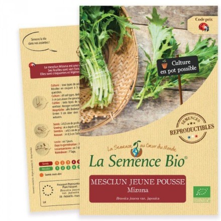 Graines Jeune pousse Mizuna BIO - La Semence Bio