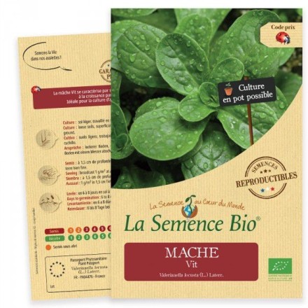 Graines Mâche Vit BIO - La Semence Bio