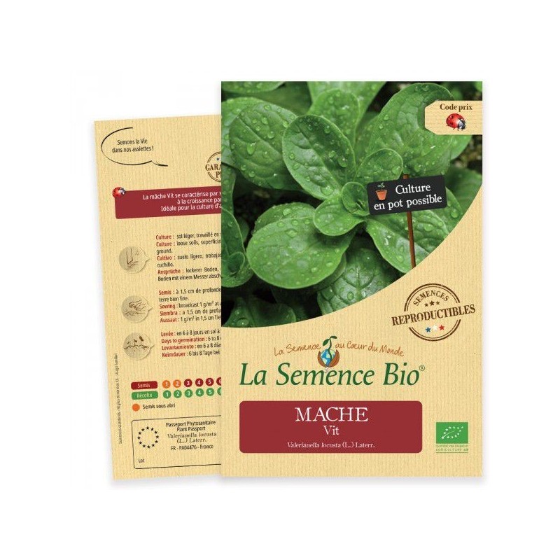 Graines Mâche Vit BIO - La Semence Bio