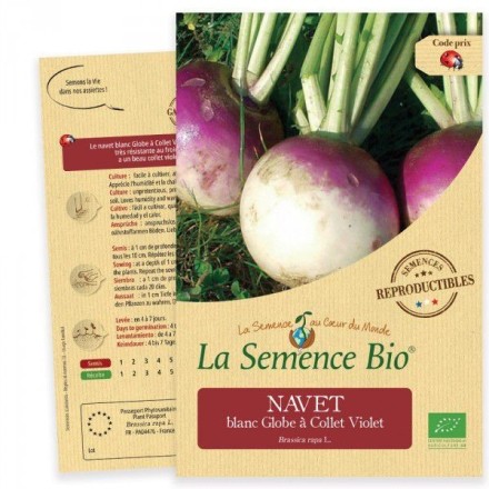 Graines Navet Blanc Globe à Collet Violet BIO - La Semence Bio