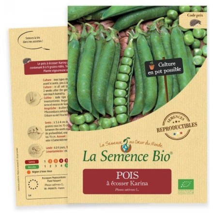 Graines Pois à écosser nain Karina BIO - La Semence Bio