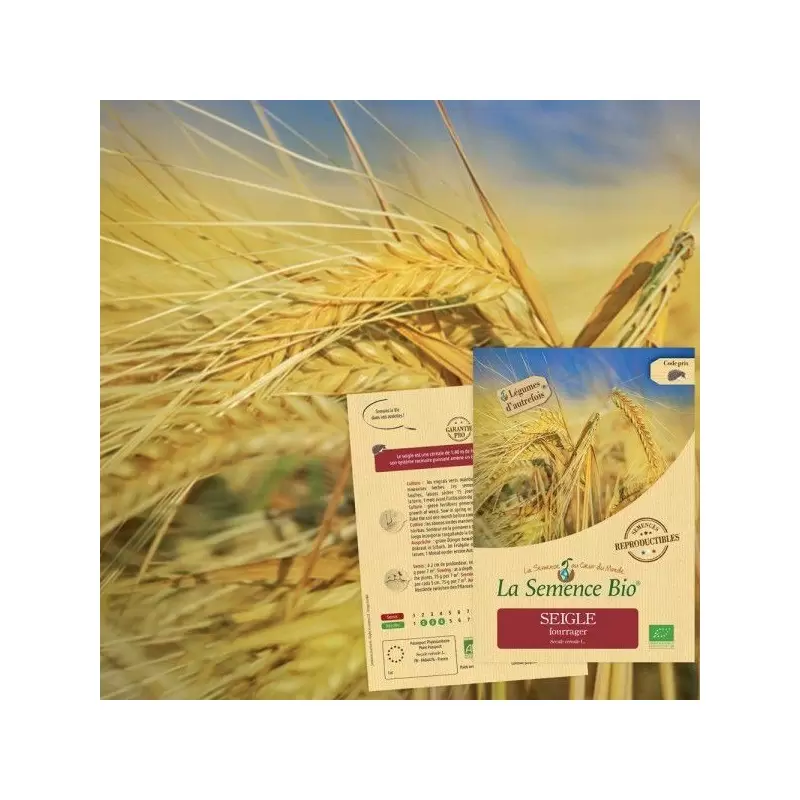 Graines Seigle Fourrager BIO - La Semence Bio