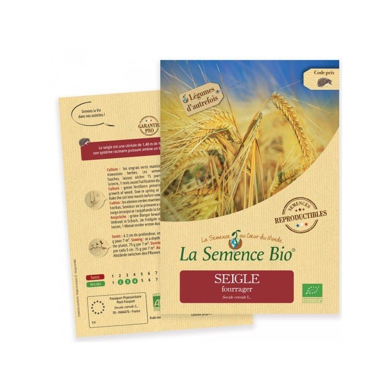 Graines Seigle Fourrager BIO - La Semence Bio