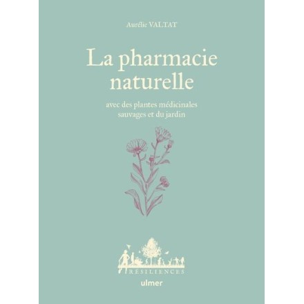 La pharmacie naturelle avec des plantes médicinales sauvages et du jardin