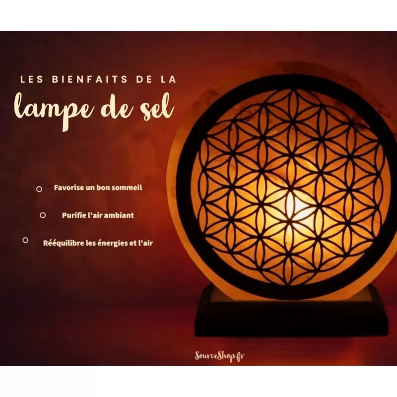 Lampe de sel Fleur de Vie - 5kg