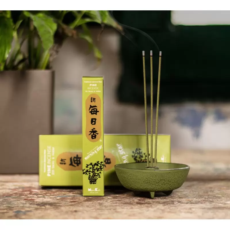 Encens japonais Pin - Morning Star