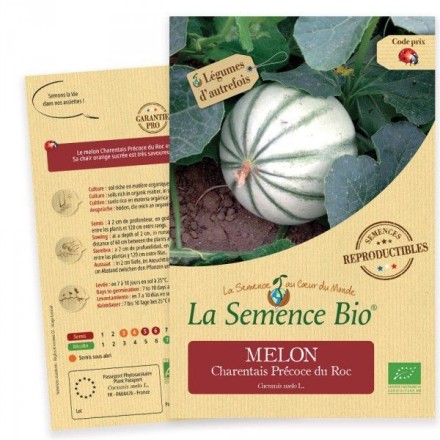 Graines Melon Charentais BIO - La Semence Bio