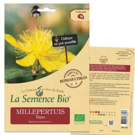Graines Millepertuis Topas BIO - La Semence Bio