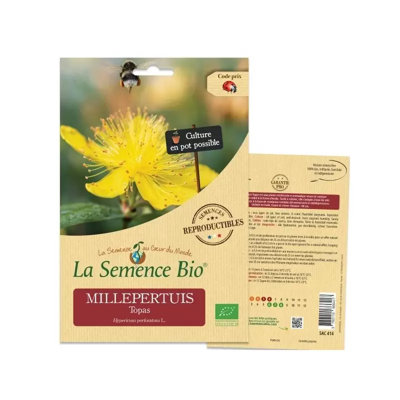 Graines Millepertuis Topas BIO - La Semence Bio
