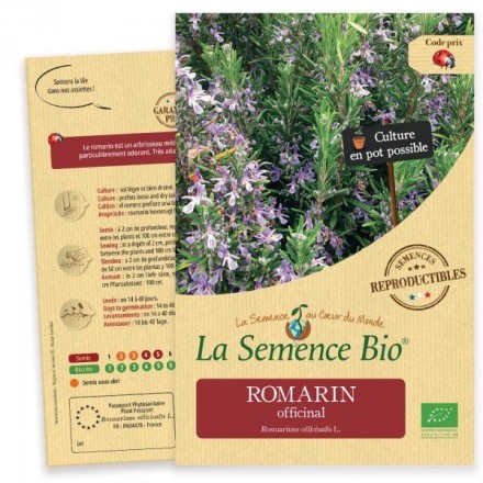 Graines Romarin BIO - La Semence Bio