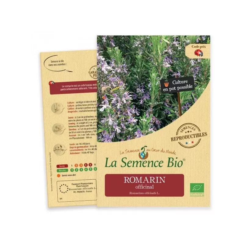 Graines Romarin BIO - La Semence Bio