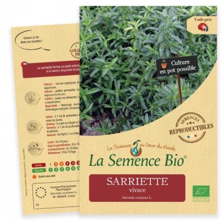 Graines Sarriette vivace BIO - La Semence Bio