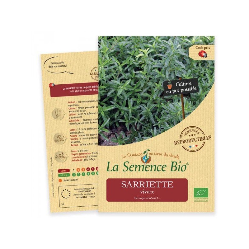 Graines Sarriette vivace BIO - La Semence Bio