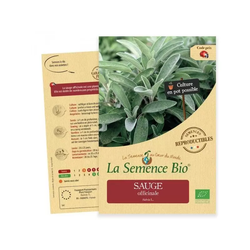 Graines Sauge officinale BIO - La Semence Bio