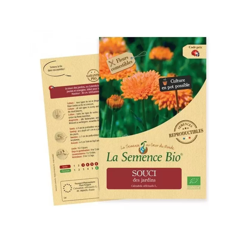 Graines Souci officinale BIO - Calendula - La Semence Bio