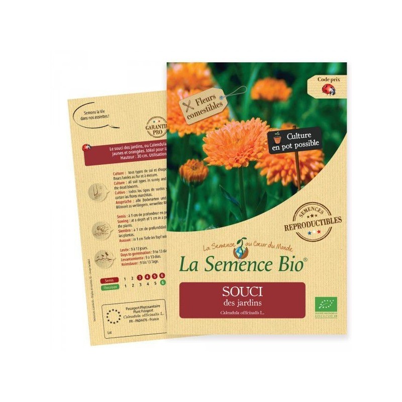 Graines Souci officinale BIO - Calendula - La Semence Bio
