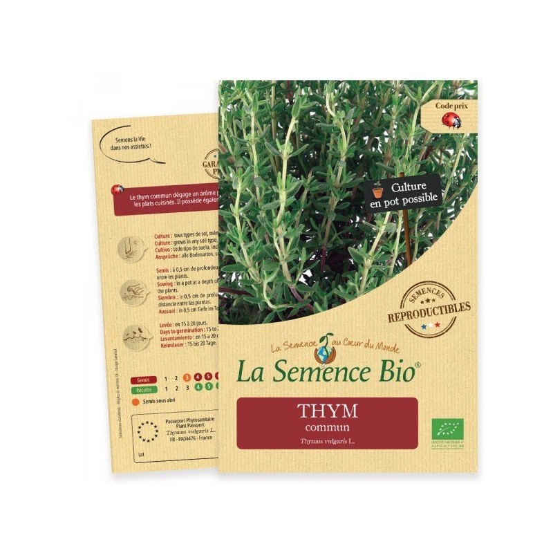 Graines Thym commun BIO - La Semence Bio