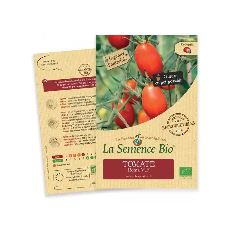 Graines Tomate Roma VF BIO - La Semence Bio