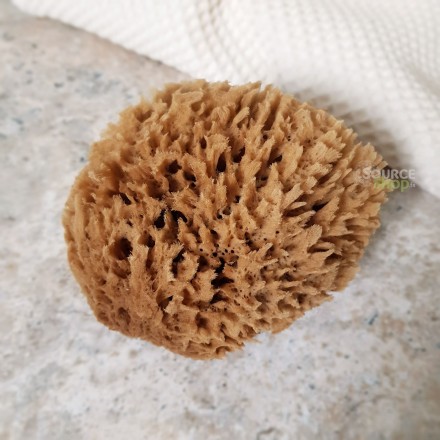  Éponge naturelle de la mer Méditerranée - 10cm