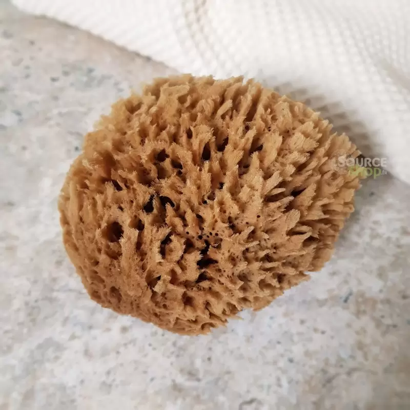  Éponge naturelle de la mer Méditerranée - 10cm