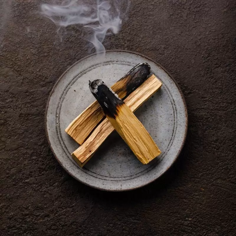 Palo Santo en bâtons en vrac