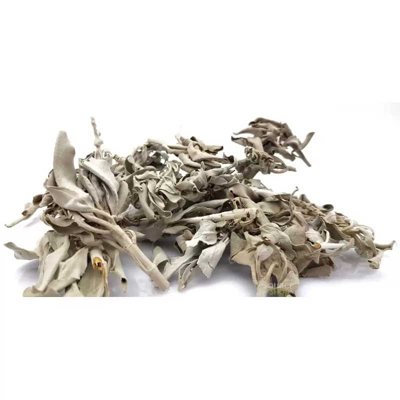 Sauge blanche sauvage en vrac