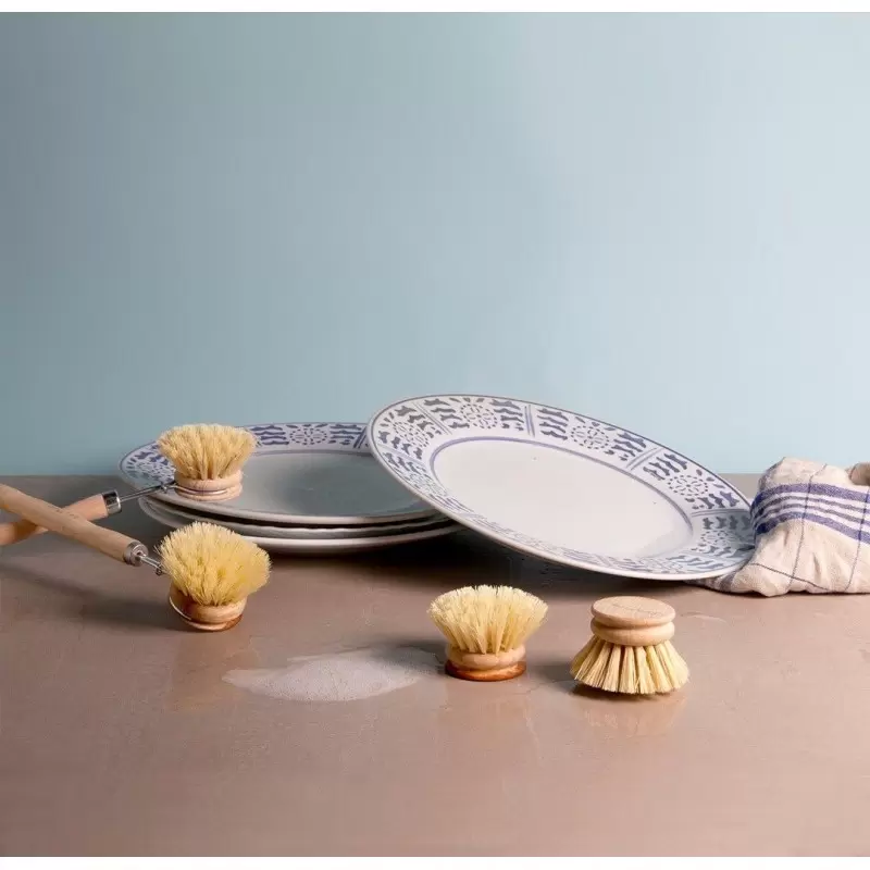 Brosse vaisselle en bois - Tête de rechange - La Droguerie Ecologique