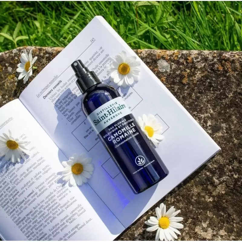 Hydrolat de camomille BIO - 200ml - Distillerie Saint-Hilaire