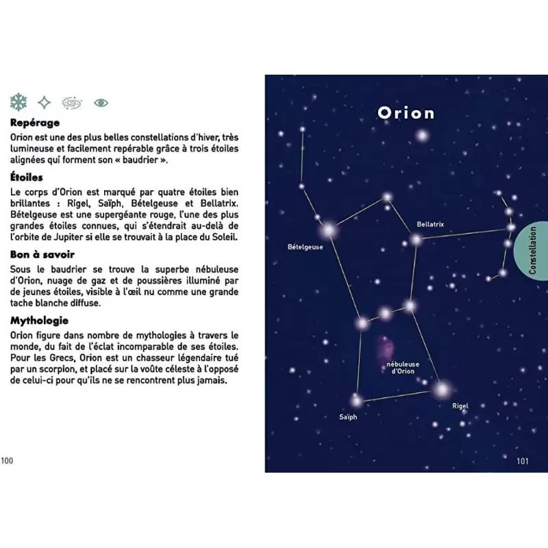 Le petit guide du ciel nocturne - Blandine Pluchet
