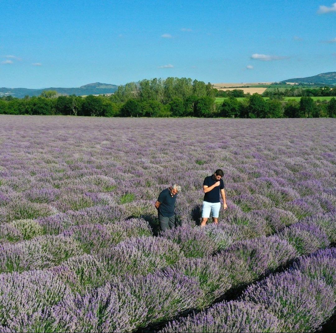 Distillerie Saint-Hilaire