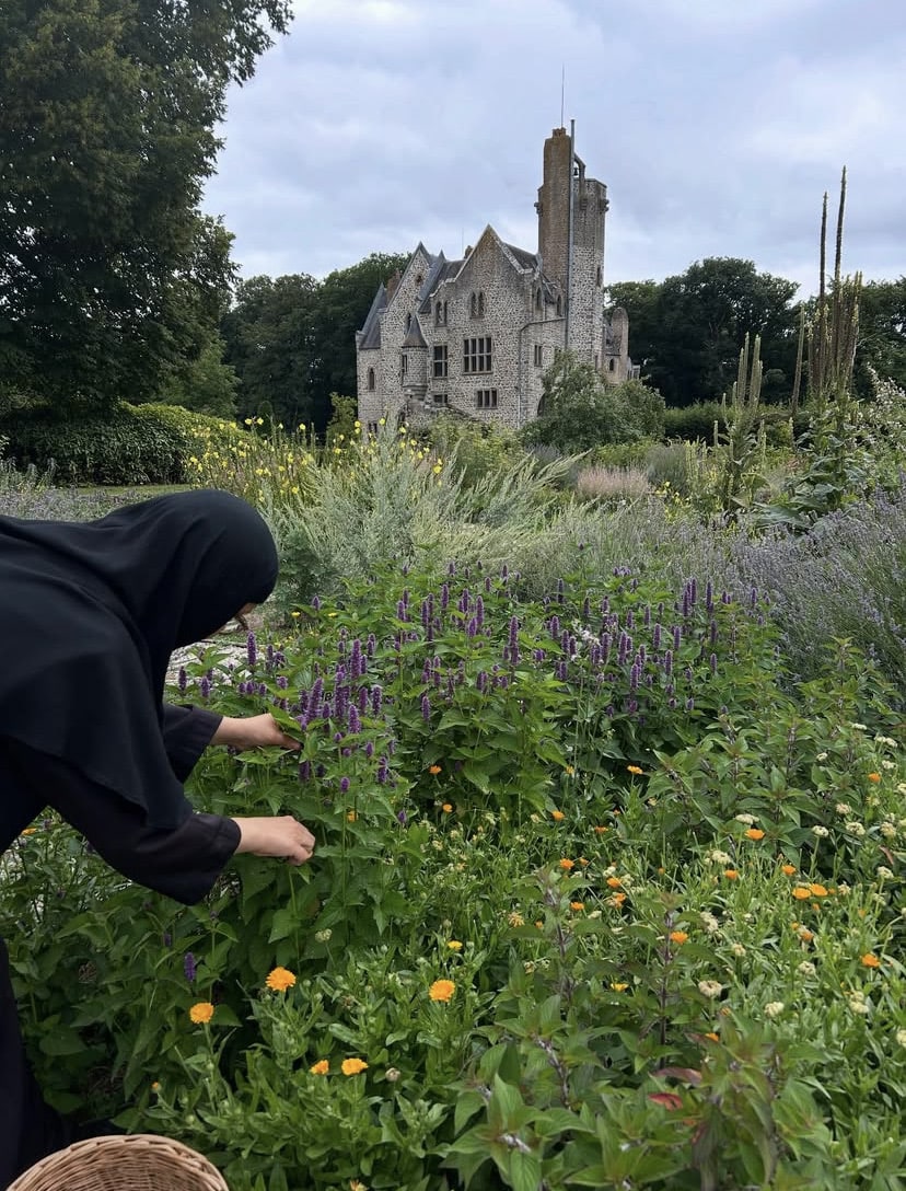 Récolte des plantes médicinales bio au Monastère de Bois Salair - Florisain
