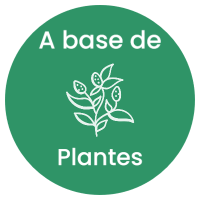 Icône à base de plantes