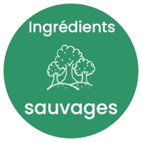 plantes sauvages