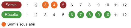 calendrier-graines-aneth-bio.png