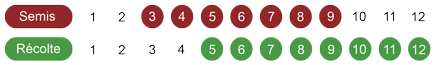 calendrier-camomille-romaine-bio.png