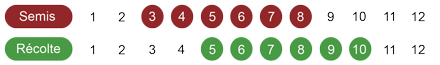 calendrier-camomille-romaine-bio.png