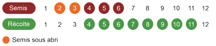 calendrier-camomille-romaine-bio.png