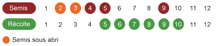 calendrier-camomille-romaine-bio.png