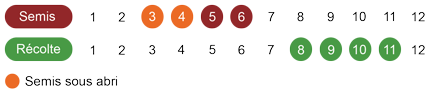 calendrier-camomille-romaine-bio.png