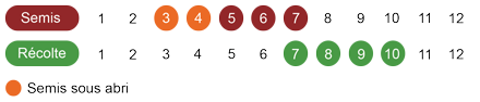 calendrier-camomille-romaine-bio.png