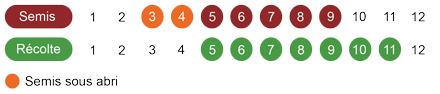 calendrier-camomille-romaine-bio.png